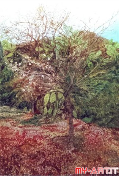 Risposta: Mandorlo in fiore - Olio su tela 70 x 50